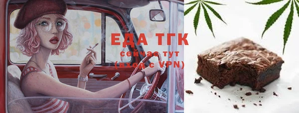 индика Заводоуковск